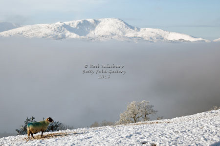 Lake District Photograhy by Betty Fold Gallery